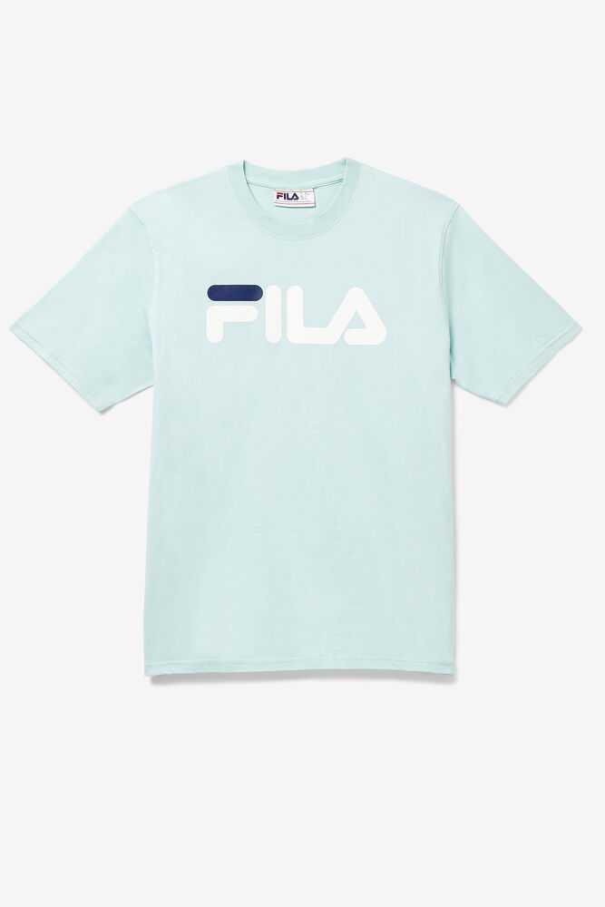 Blue Men\'s FILA Eagle T-shirts | USA-918304