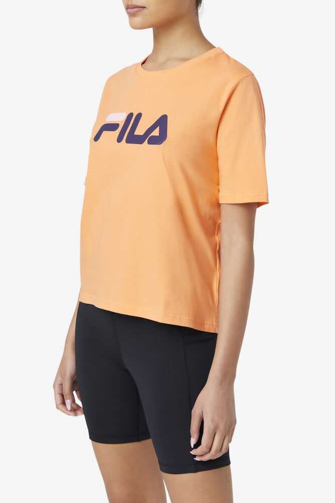 Orange Purple Pink Women's FILA Miss Eagle T-shirts | USA-15738